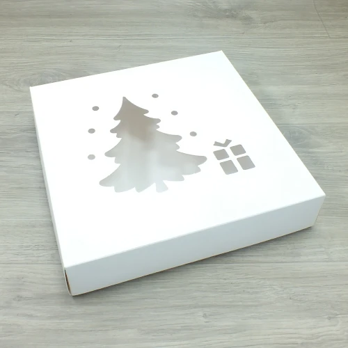 PENCERELİ KUTULAR 6